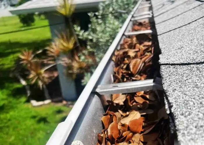 Massapequa Park gutter cleaning home page